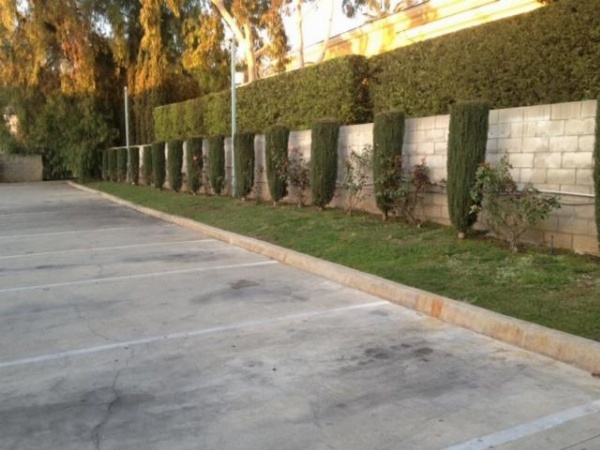 All 8 Motel image 26